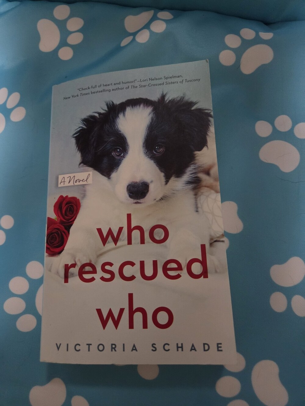 2 Fiction Dog Books